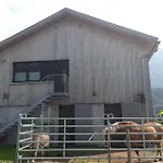 Hirschberg ビザウ