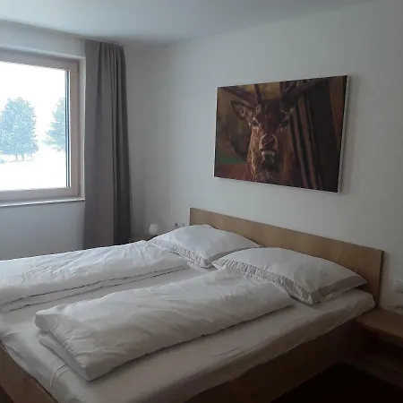 Апартаменты Hirschberg *