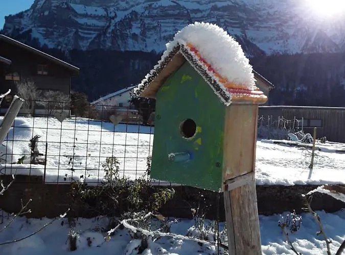 Hirschberg Apartment Bizau